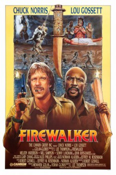 poster Firewalker&nbsp;&nbsp;(1986)